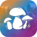 真实采集蘑菇模拟器手机版  V1.9