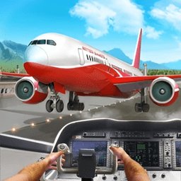 你要开飞机吗手机版 v1.0