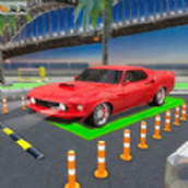 真实停车挑战赛安卓版 v1.0.1