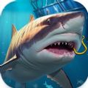 钓鱼冲突狂野中文版（Fishing Clash Wild）v3.6