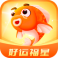 好运福星运气测试APP最新版 v1.0